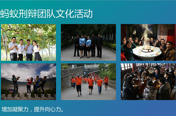 南京刑事律师蚂蚁刑辩团队建设