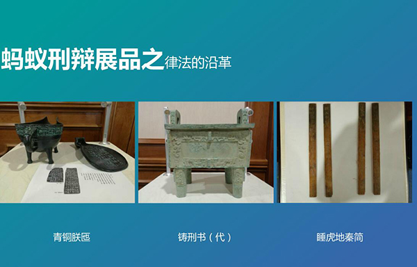 南京刑事律师蚂蚁刑辩团队建设