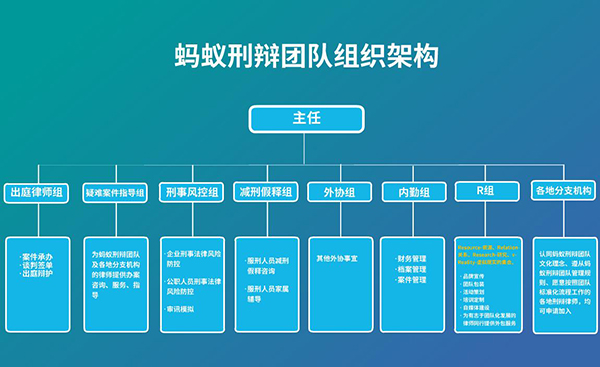 南京刑事律师蚂蚁刑辩团队建设