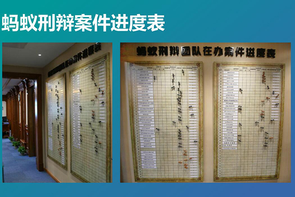 南京刑事律师蚂蚁刑辩团队建设