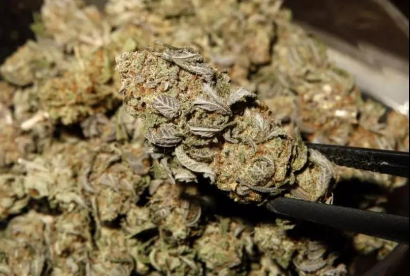 横跨三省的制毒贩毒团伙，被一个小偷给端了