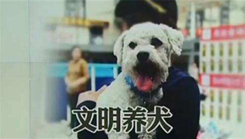 杭州施行：养狗不办证将罚万元！最严养犬令来了
