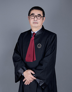 疑难复杂案件咨询组组长-杨卫东律师