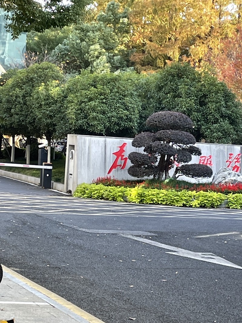 2024年11月28日，天倪律所蚂蚁刑辩团队律师胡春燕前往南京市溧水区人民法院立案